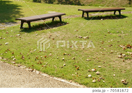 西大寺緑化公園のベンチ2脚と芝生と落ち葉 岡山県岡山市東区の写真素材 70581672 Pixta