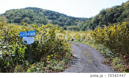 バイラギ林道(北海道網走市) バイラギ林道(北海道網走市) 70582447