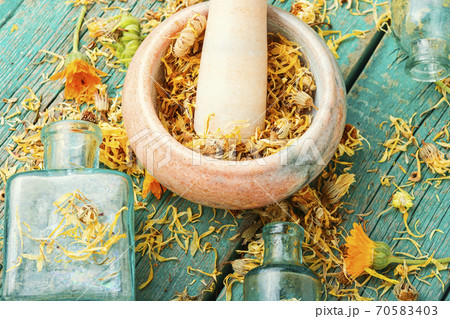 Calendula for herbal medicine. 70583403