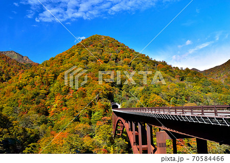 秋の紅葉に染まる甲子大橋 70584466
