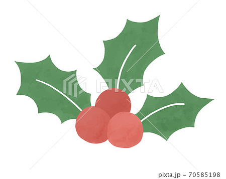 クリスマスをイメージしたヒイラギのイラスト素材