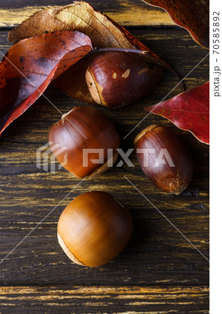 どんぐりと落ち葉 70585892