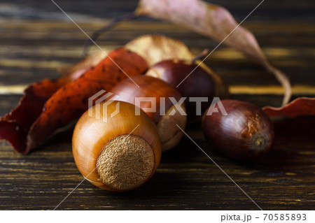 どんぐりと落ち葉 70585893