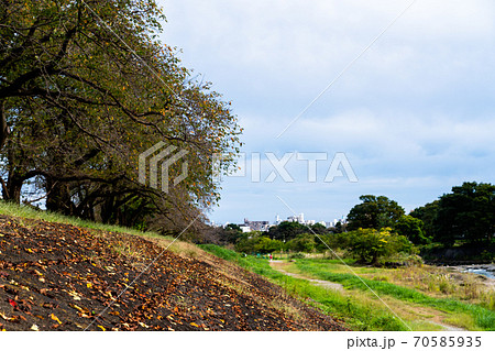 秋のイメージ 70585935