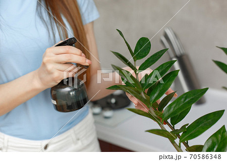 Woman splashes a flowerpots at home 70586348