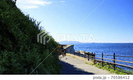 東京湾の観光地浦賀水道の神奈川県横須賀市走水・観音崎の夏 東京湾の観光地浦賀水道の神奈川県横須賀市走水・観音崎の夏 70586412