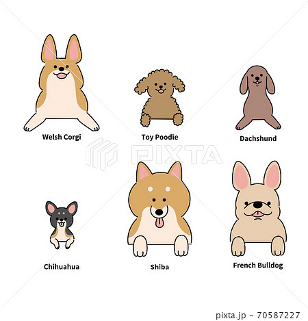 6犬種のイラスト素材