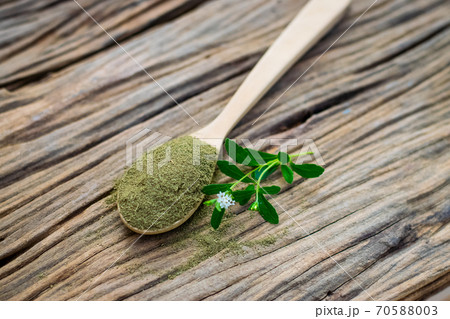 Stevia powder in wooden spoon 70588003