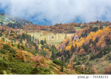 山田峠から紅葉の芳ヶ平 70588233