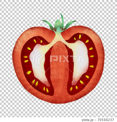 ヘタのついたトマトを縦に切った断面図のイラスト素材 7057