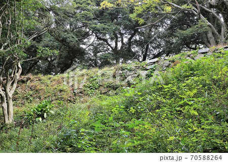 米子城 米子城 70588264