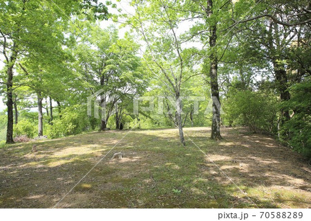 河後森城 河後森城 70588289