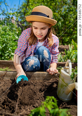 little teen girl in hat planting seedlings 70588752