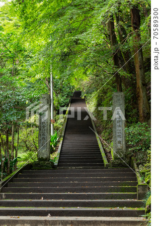 東郷公園 秩父御嶽神社 参道の石段の写真素材