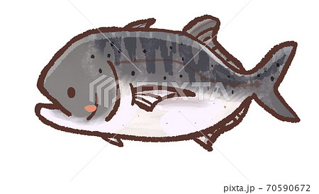 R:もっとメルヘンな水族館 ロウニンアジB 70590672