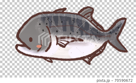 R:もっとメルヘンな水族館 ロウニンアジB 70590672