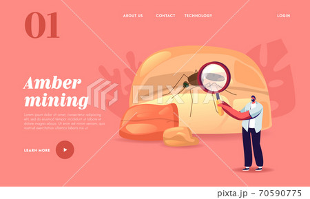 Mineral with Insect Landing Page Template. Tiny Male Character Looking on Huge Fossil Amber with Mosquito inside 70590775