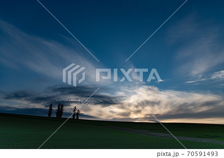 10月美瑛マイルドセブンの丘夕景 10月美瑛マイルドセブンの丘夕景 70591493
