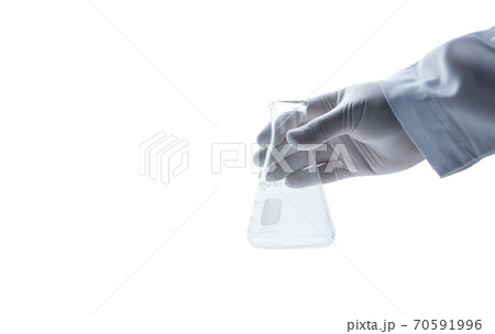 hand scientist wearing rubber gloves and hold Erlenmeyer flask isolated on white 70591996