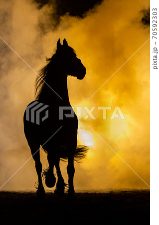 Big Frisian horse in smokey setting 70592303