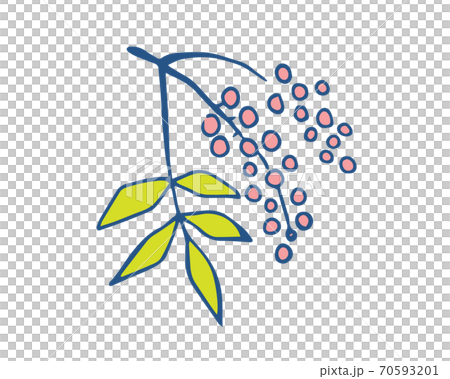 手書き風 南天の実のイラストのイラスト素材 手書き風 南天の実のイラストのイラスト素材