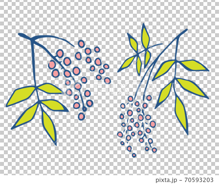 手書き風 南天の実のイラストのイラスト素材 手書き風 南天の実のイラストのイラスト素材