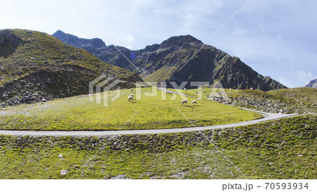 Aerial view of sheep eating at the mountains of Kuhtai in the Austrian Alps during summer season. Aerial view of sheep eating at the mountains of Kuhtai in the Austrian Alps during summer season. 70593934