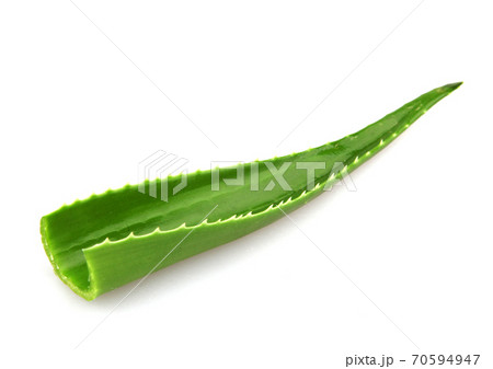 Aloe vera plant isolated on white background. Aloe vera is a succulent plant species of the genus Aloe. It is cultivated for agricultural and medicinal uses 70594947