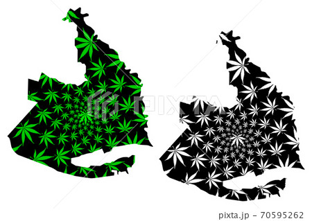 Sirdaryo Region (Republic of Uzbekistan, Regions of Uzbekistan) map is designed cannabis leaf green and black, Sirdaryo map made of marijuana (marihuana,THC) foliage.... 70595262