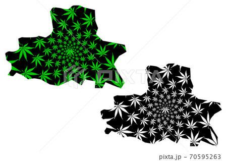 Samarqand Region (Republic of Uzbekistan, Regions of Uzbekistan) map is designed cannabis leaf green and black, Samarkand map made of marijuana (marihuana,THC) foliage.... 70595263