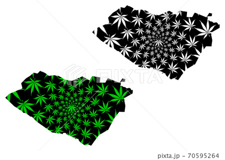 Qashqadaryo Region (Republic of Uzbekistan, Regions of Uzbekistan) map is designed cannabis leaf green and black, Qashqadaryo map made of marijuana (marihuana,THC) foliage.... 70595264