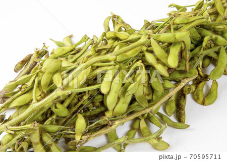 黒大豆枝豆 黒大豆枝豆 70595711