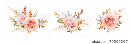 Vector floral bouquet design. Pink, blush peach Roses, fall, winter tones taupe, brown beige cream autumn Eucalyptus branch, leaves, fern. Wedding invite card decorative elegant watercolor element set 70596297