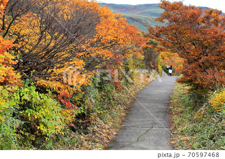 鳥海山紅葉 登山道 鳥海山紅葉 登山道 70597468