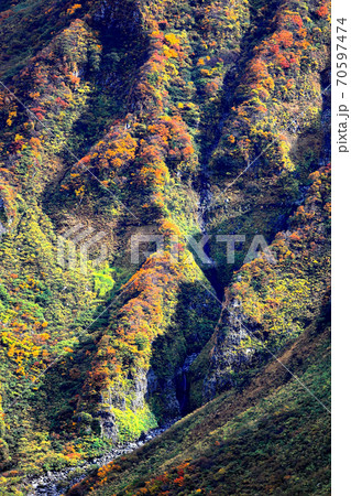 鳥海山紅葉　 70597474