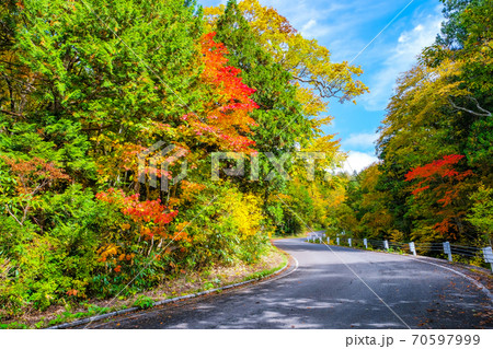 紅葉の照葉峡道 70597999