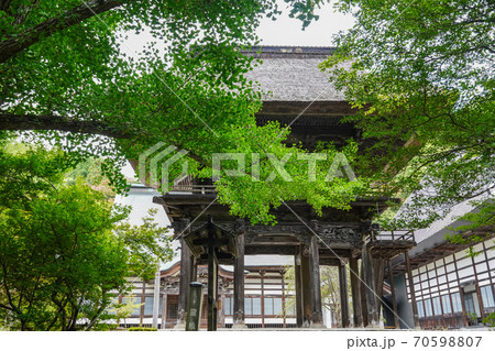 大町市 霊松寺のオハツキイチョウと山門 大町市 霊松寺のオハツキイチョウと山門 70598807
