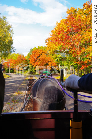 北海道開拓の村の風景 70599482