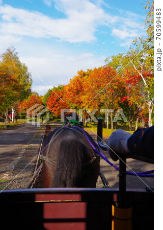 北海道開拓の村の風景 70599483
