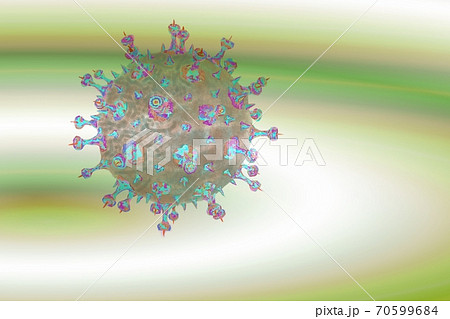 危険危険危険 コロナウイルス 武漢ウイルス 危険危険危険 コロナウイルス 武漢ウイルス 70599684