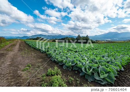 秋の嬬恋高原から望む農場と浅間山周辺の山並み a-1 秋の嬬恋高原から望む農場と浅間山周辺の山並み a-1 70601404