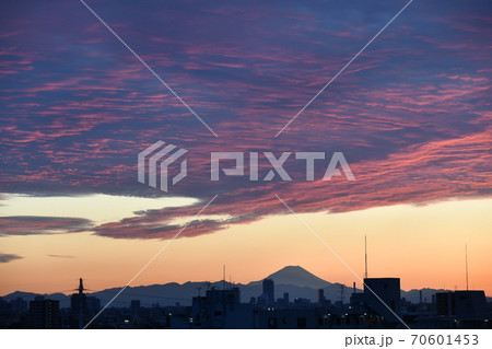 東京からの富士山 東京からの富士山 70601453