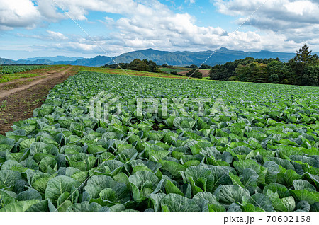 秋の嬬恋高原から望む農場と浅間山周辺の山並み　k-1 70602168