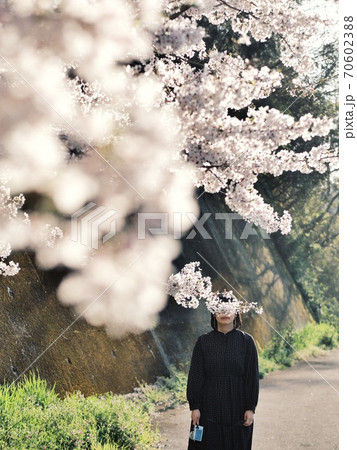 満開の桜に隠れるカメラを持ったワンピースの女性 70602388