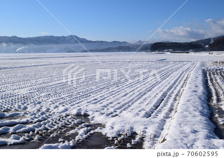 雪が積もった水田 雪が積もった水田 70602595