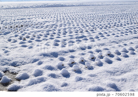 雪が積もった水田 雪が積もった水田 70602598