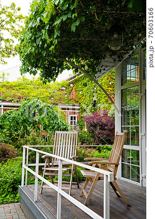 spring garden in the yard. house entwined with ivy 70603166