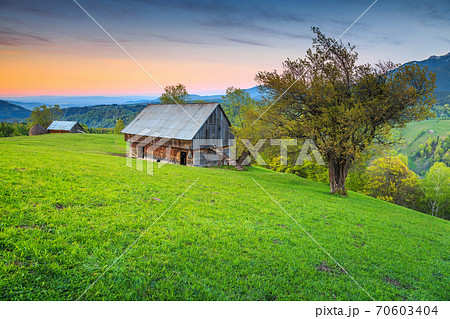 Summer alpine landscape near Brasov, Transylvania, Romania, Europe  70603404