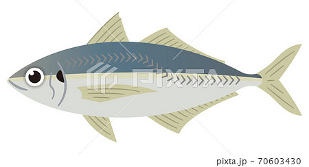 アジのイラストレーション 70603430