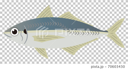 アジのイラストレーション 70603430